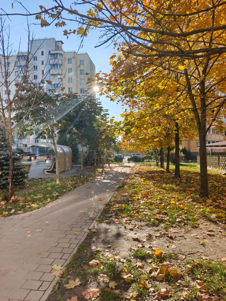 Фото из поста