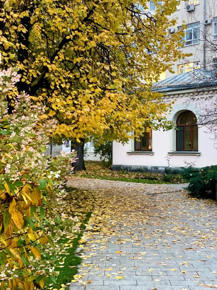 Фото из поста
