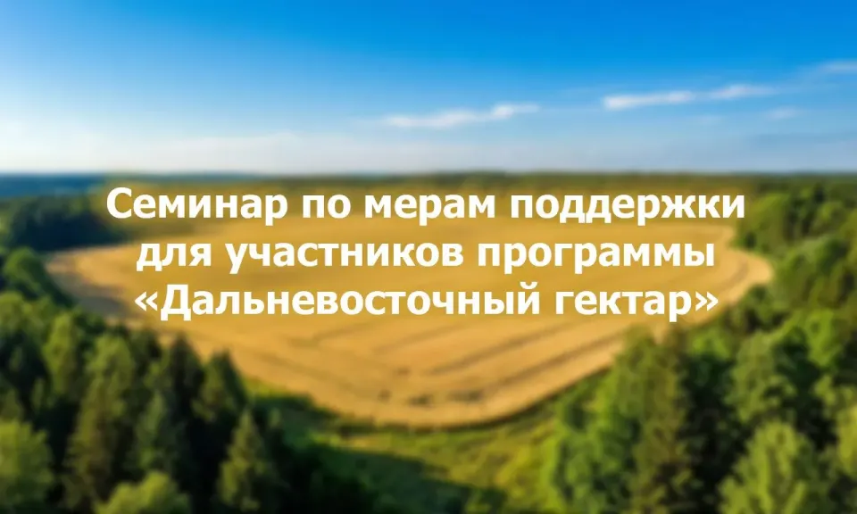 Фото из поста