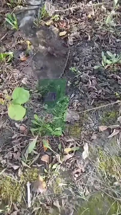 Обложка видео