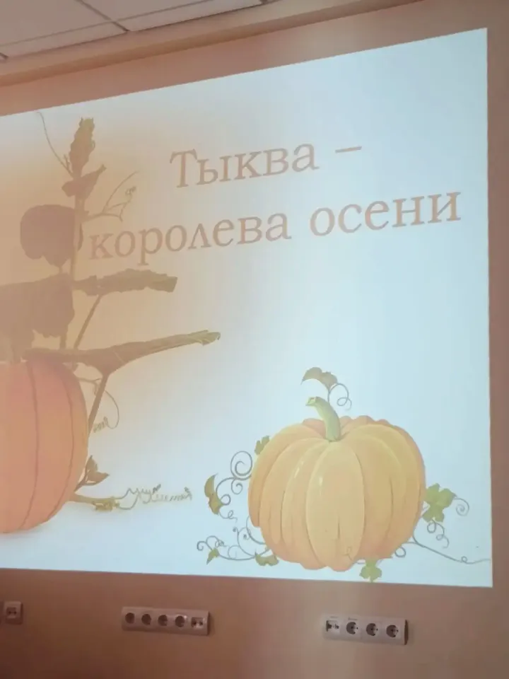 Фото из поста