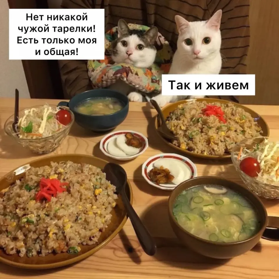 Фото из поста