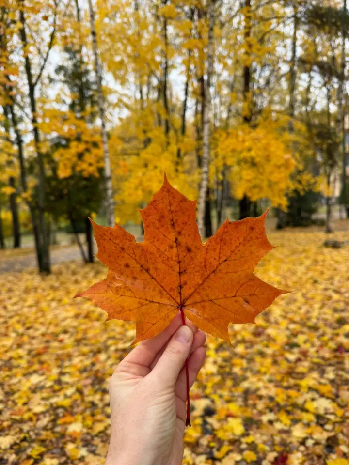 Фото из поста