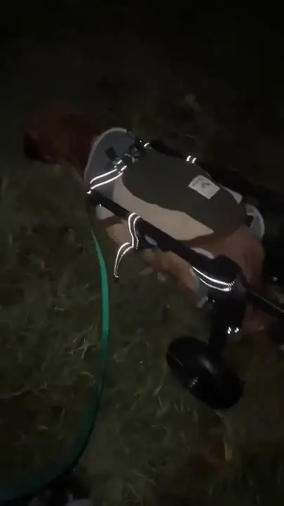 Обложка видео