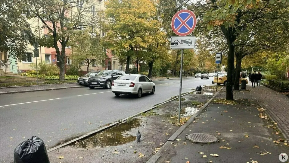 Фото из поста