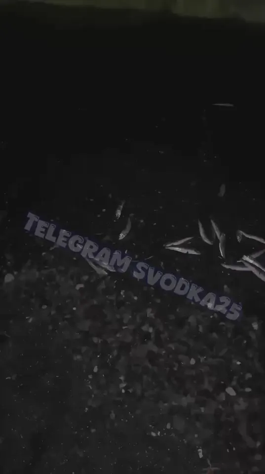 Обложка видео