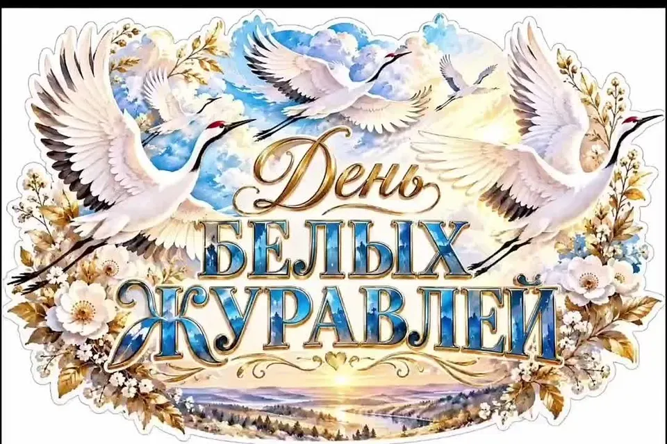 Обложка видео
