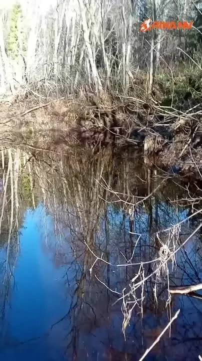 Обложка видео