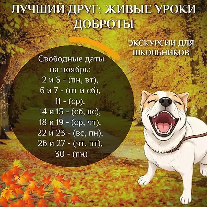 Обложка видео