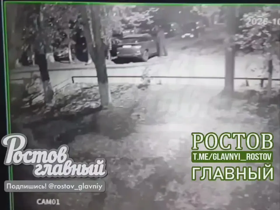 Обложка видео