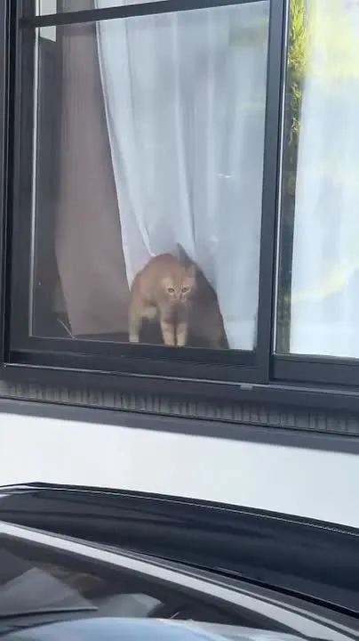 Обложка видео