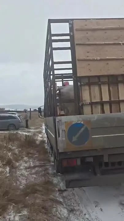 Обложка видео