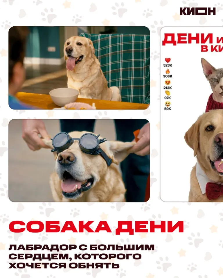 Фото из поста