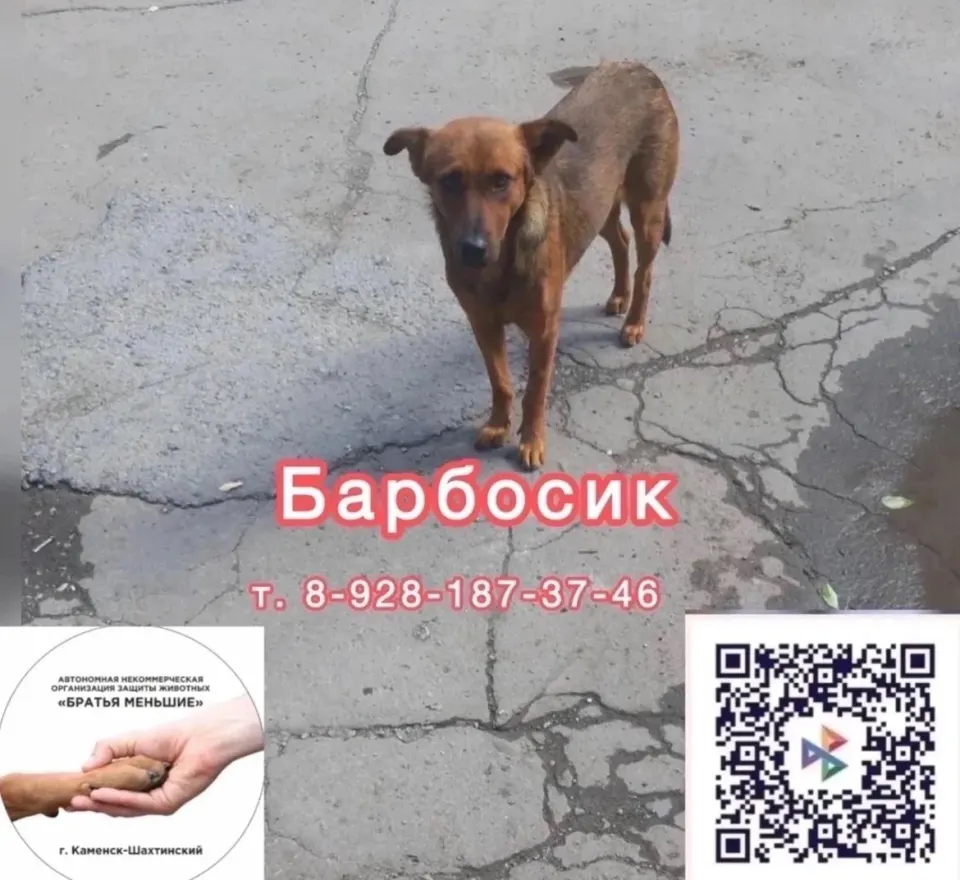 Фото из поста