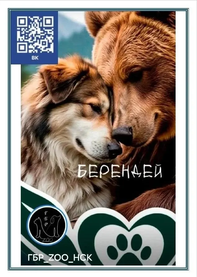 Фото из поста