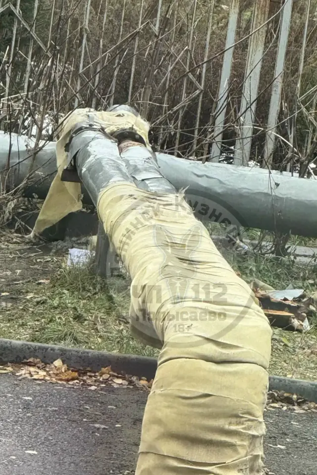 Фото из поста