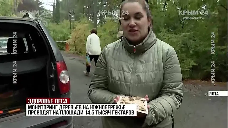 Обложка видео