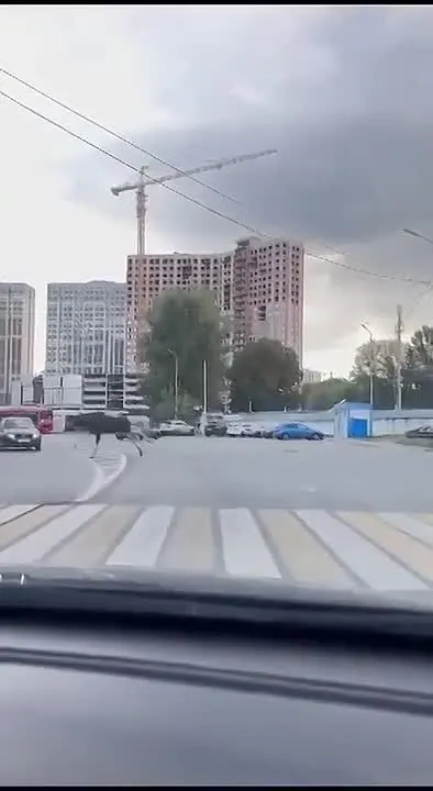 Обложка видео