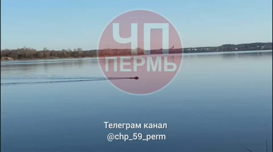 Обложка видео