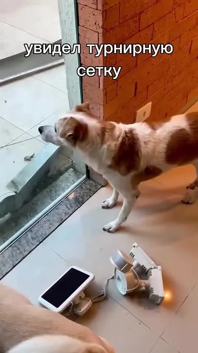 Обложка видео