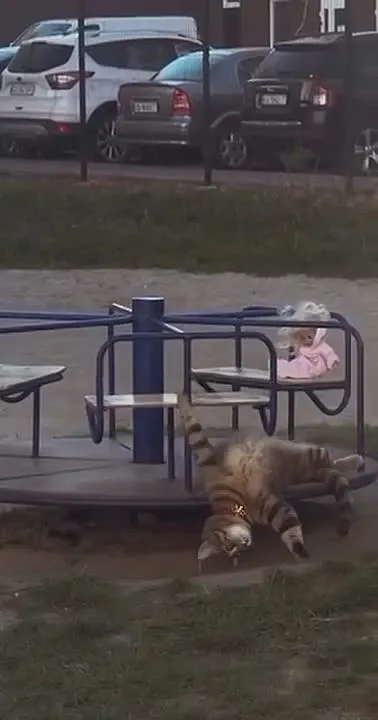 Обложка видео