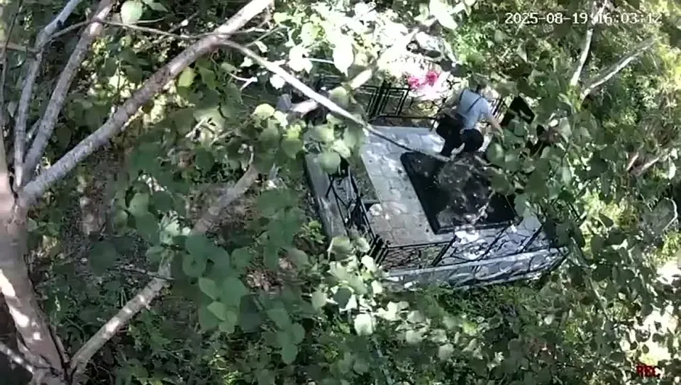 Обложка видео