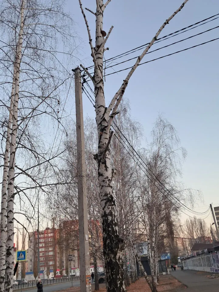Фото из поста