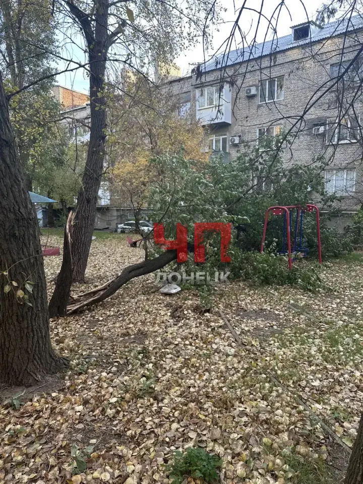 Фото из поста