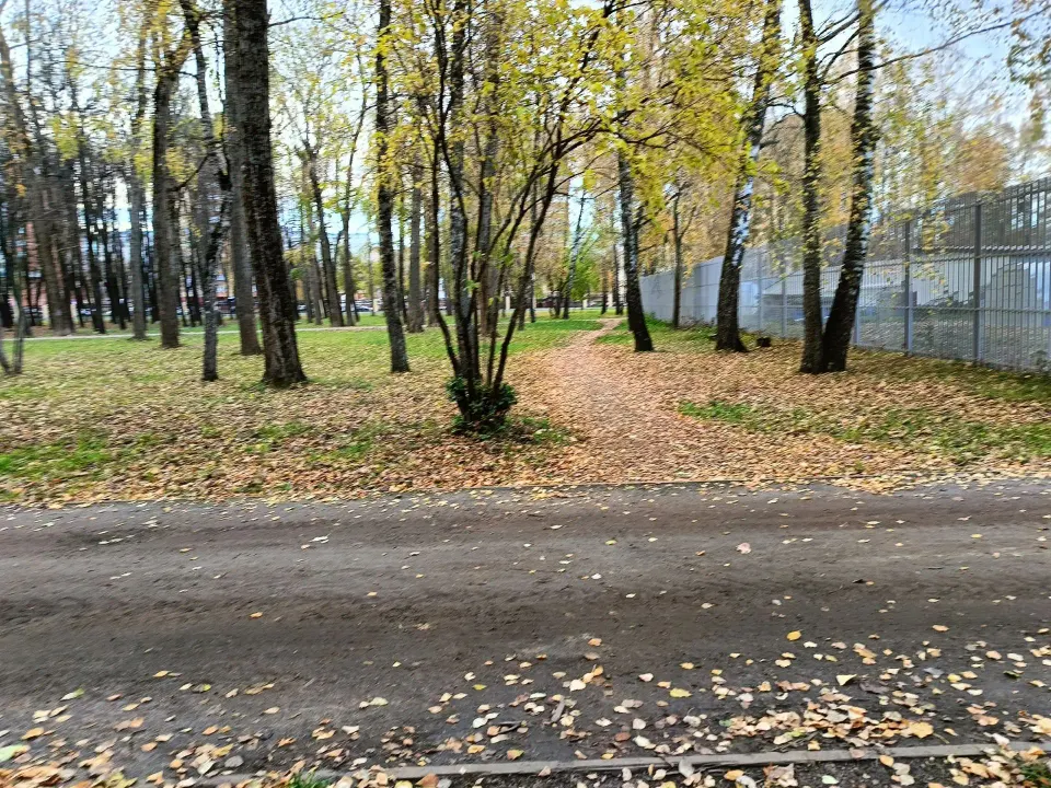 Фото из поста