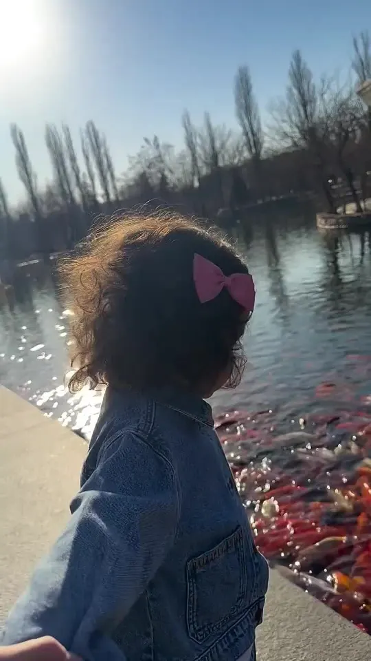 Обложка видео