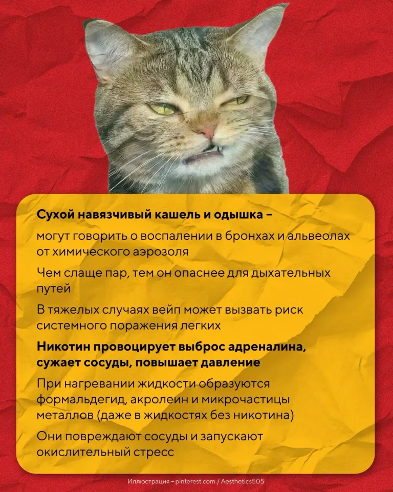 Фото из поста
