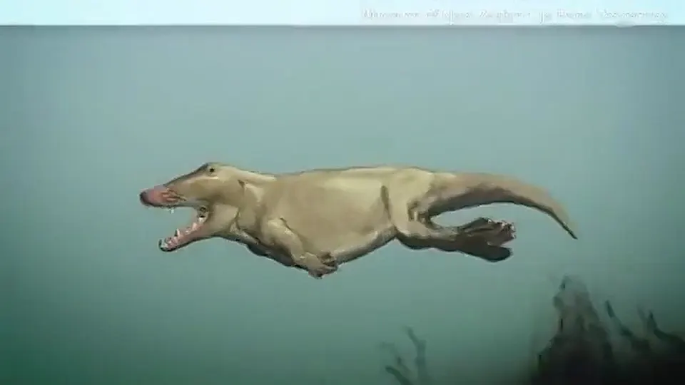 Обложка видео