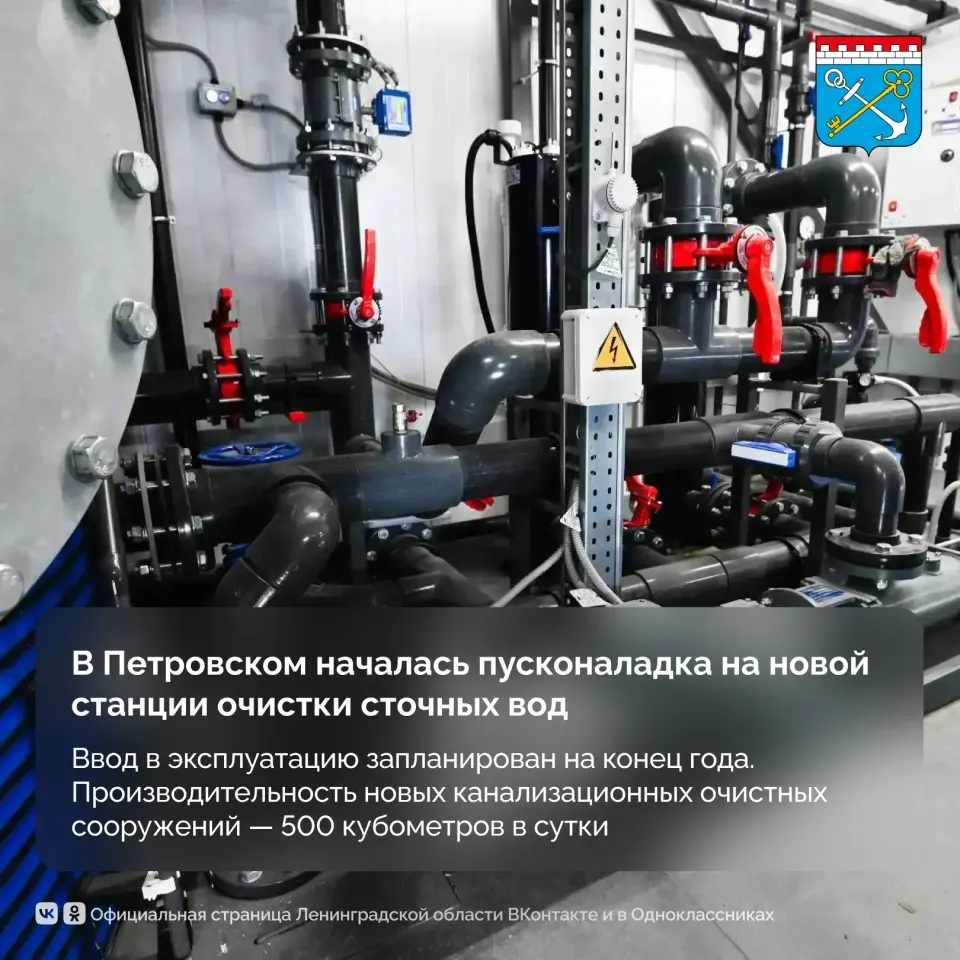 Фото из поста