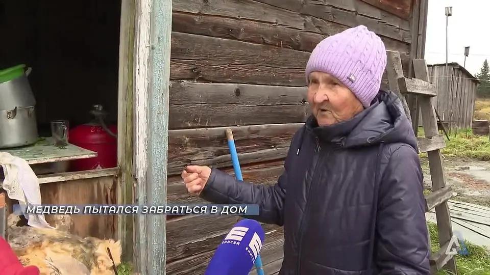 Обложка видео