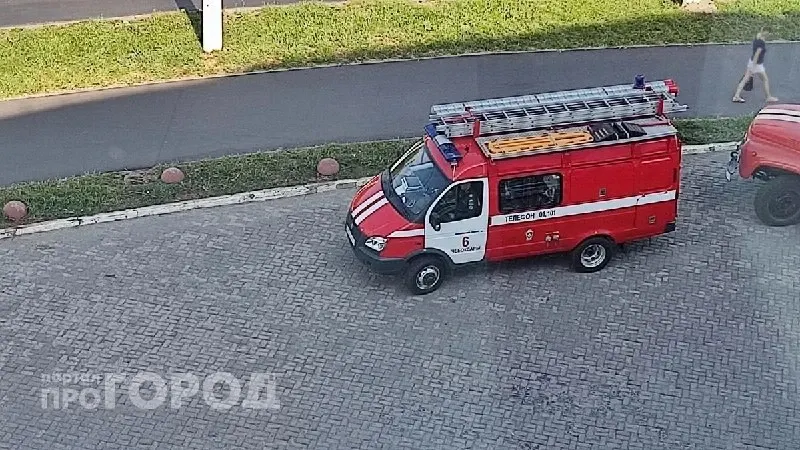 Фото из поста
