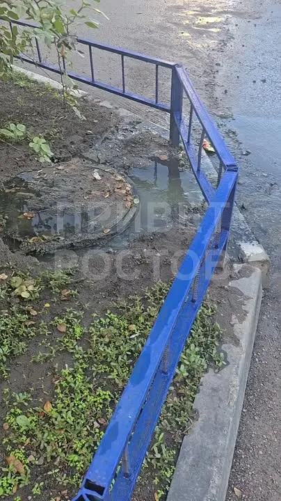 Обложка видео