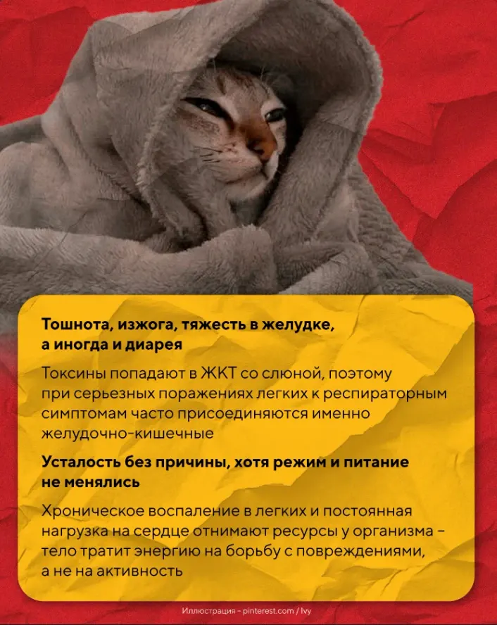 Фото из поста