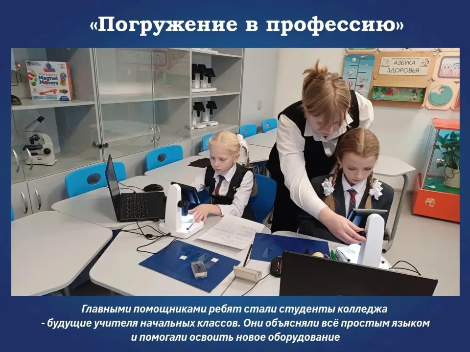 Фото из поста