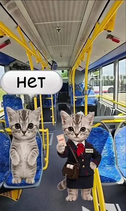 Обложка видео