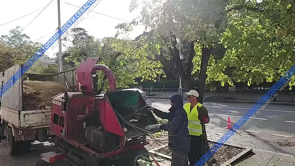 Обложка видео