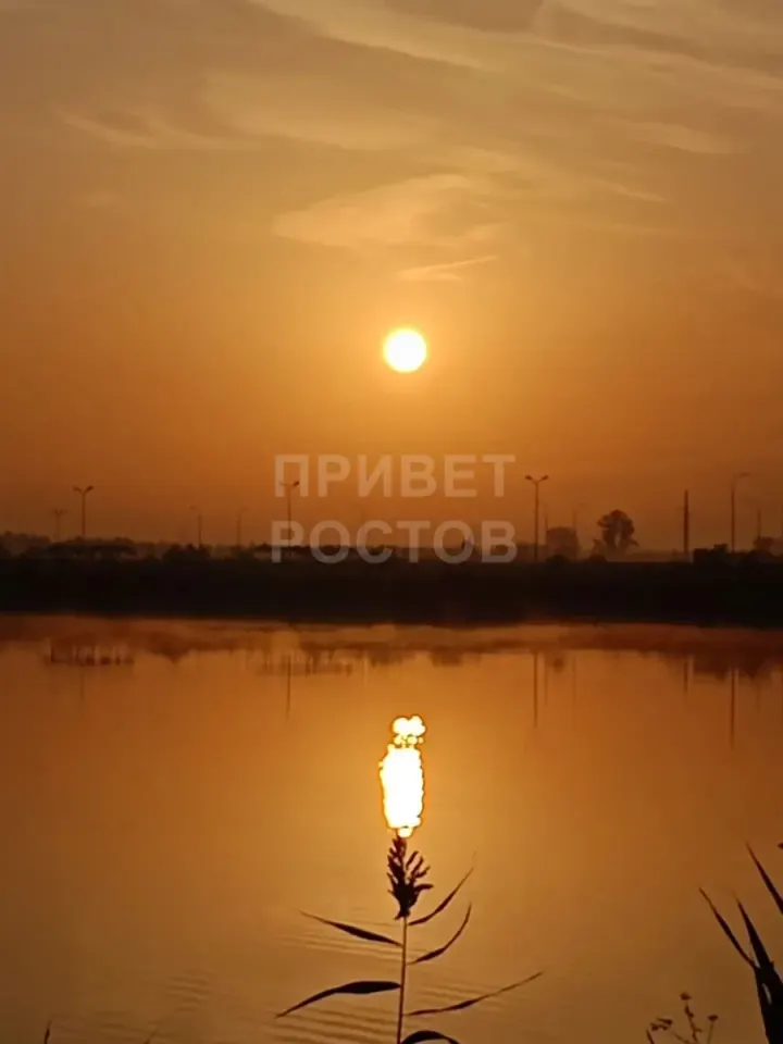Фото из поста