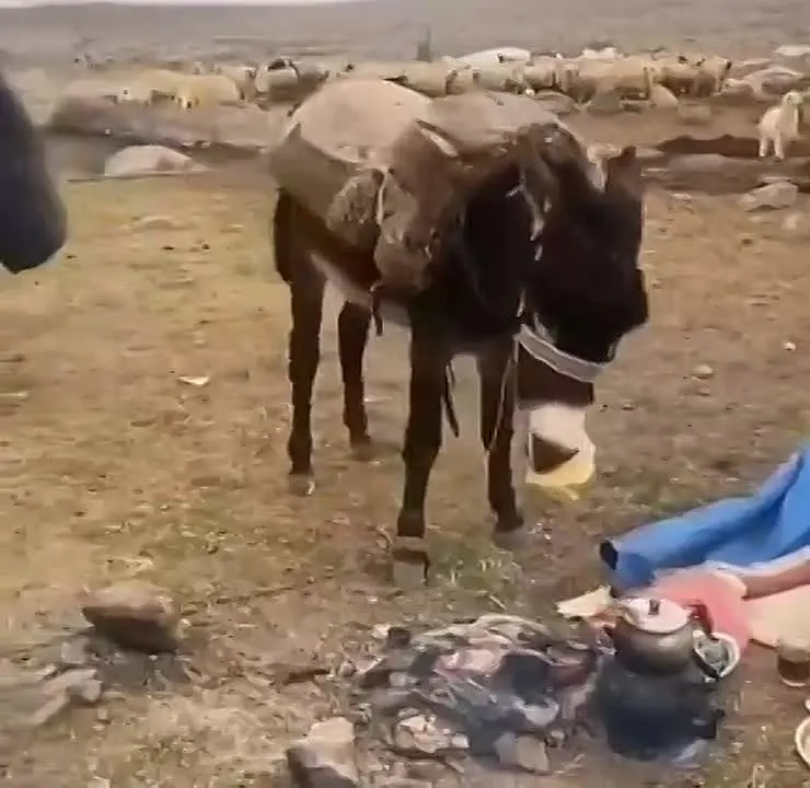 Обложка видео