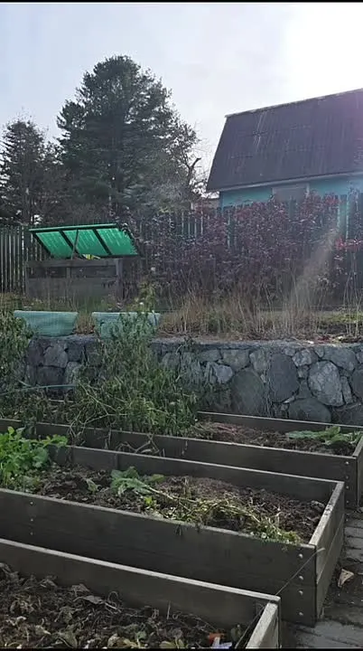 Обложка видео