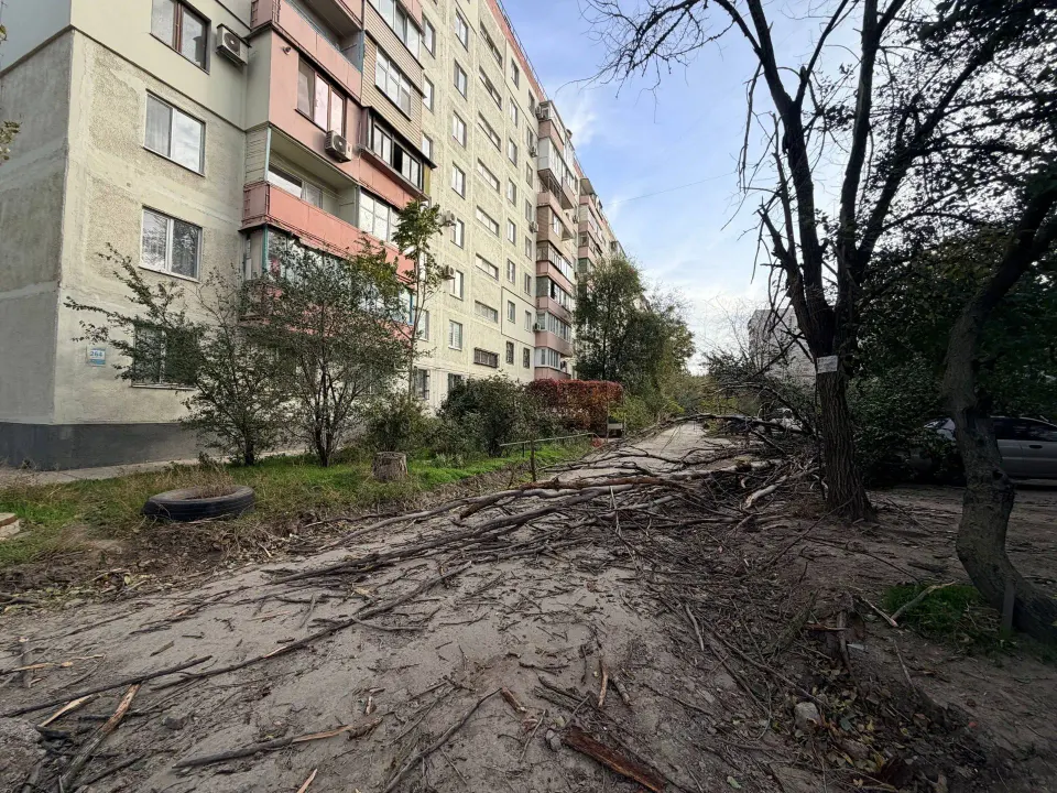 Фото из поста
