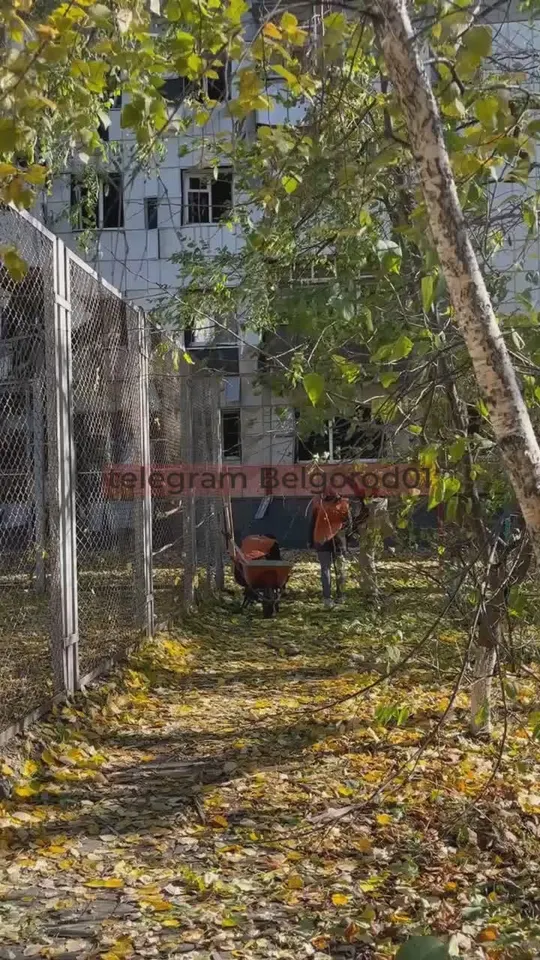 Обложка видео