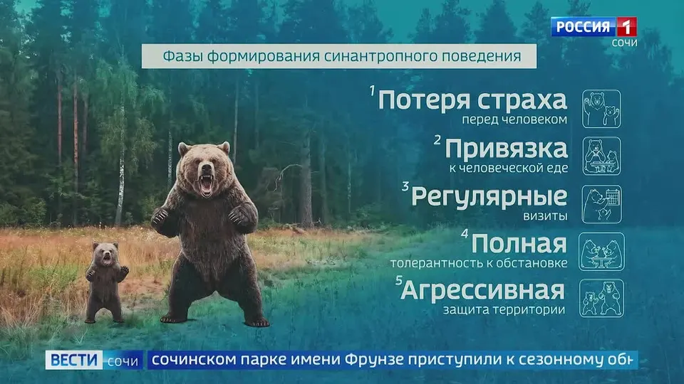 Обложка видео