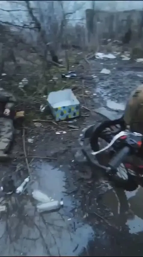 Обложка видео