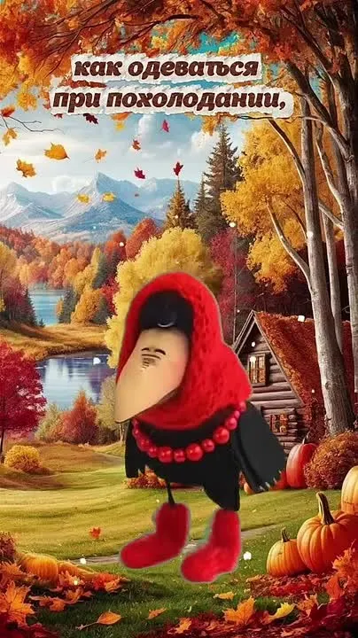 Обложка видео