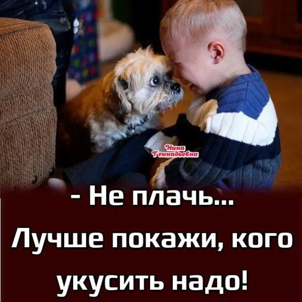 Фото из поста