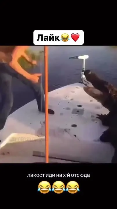 Обложка видео